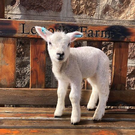 Bed and Breakfast Lettoch Farm Dufftown Esterno foto